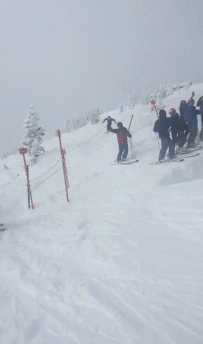 t0133dbc48f2f2ee14f.gif